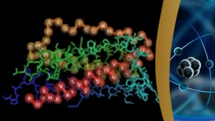 Təkamül nəzəriyyəsinə zərbə- zülallar