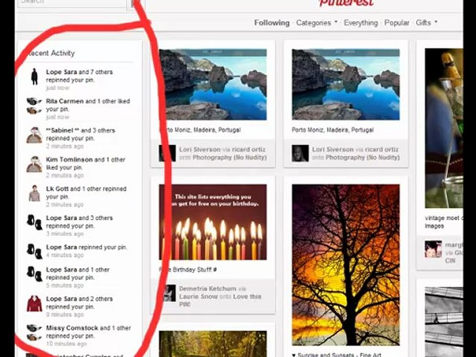 pinterest repins