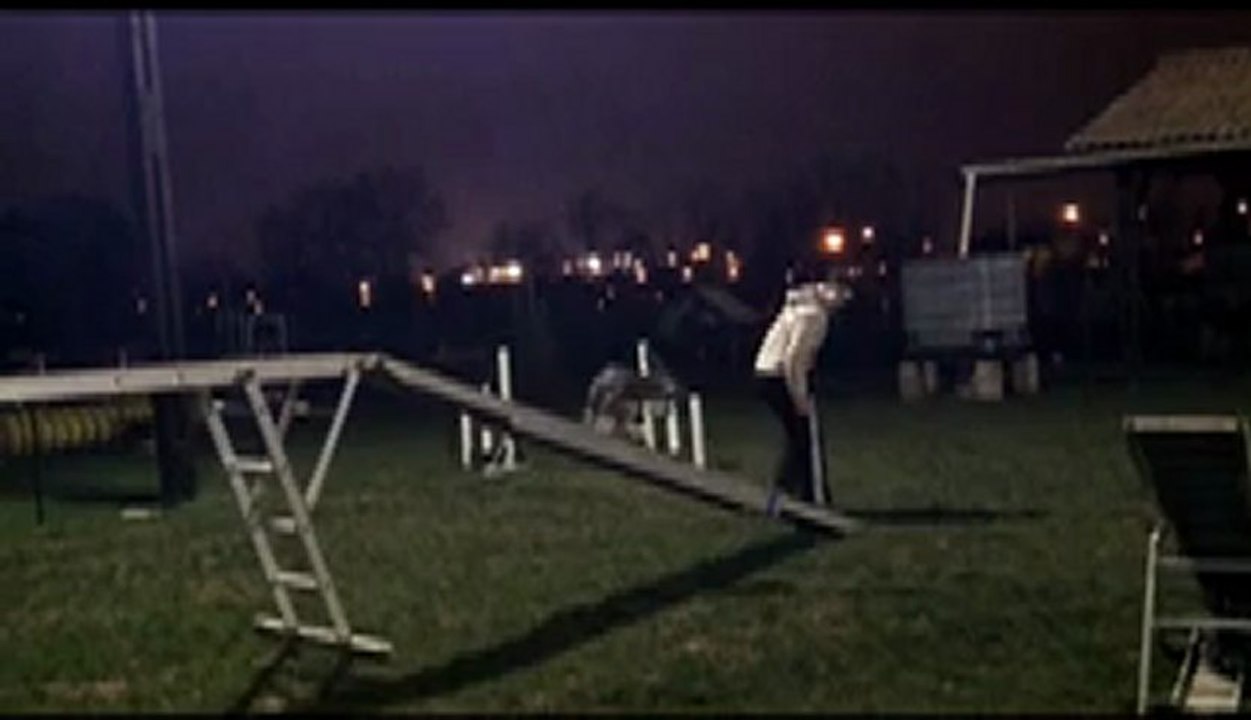 Mon film génial 2