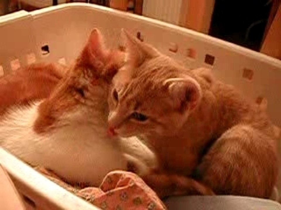 petite séance de calins