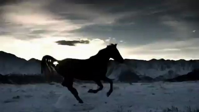 Banca Privada de Andorra. Caballos