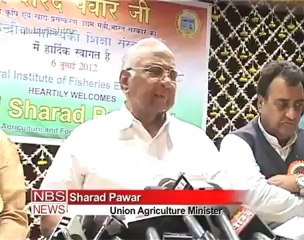 Delay in monsoon may affect pulses output  Pawar.mp4