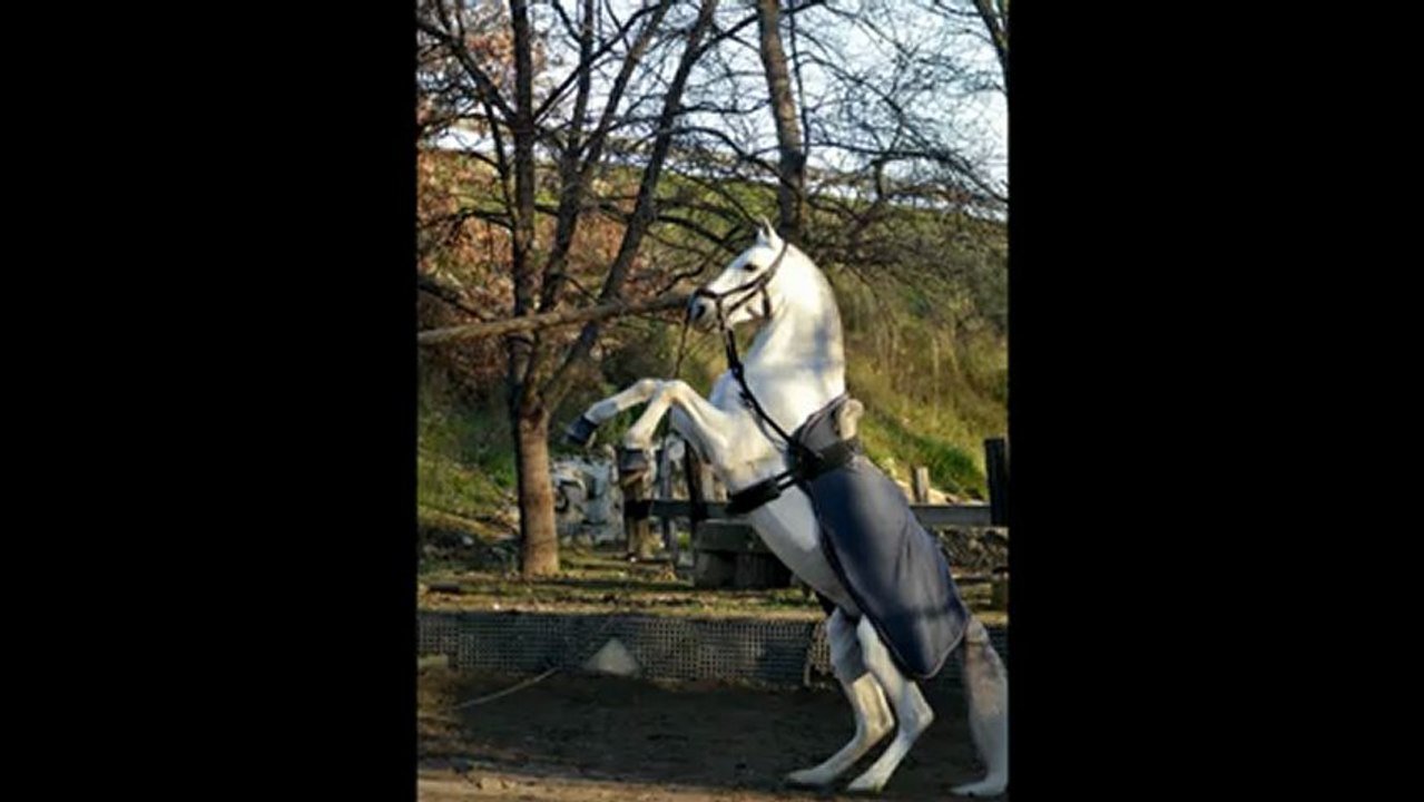 Vous deux... (Joyeux Anniversaire !)