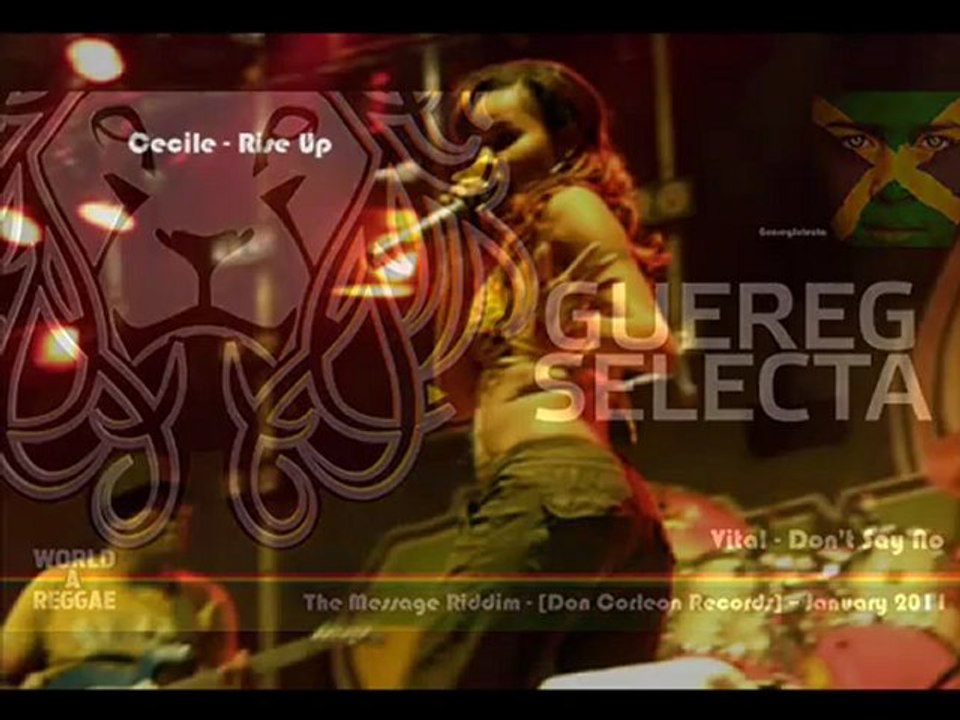 The Message Riddim Mix 2011 [Don Corleon Records] (Brand New