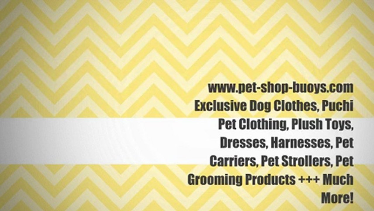 petshopbuoys PET BOUTIQUE IN UK