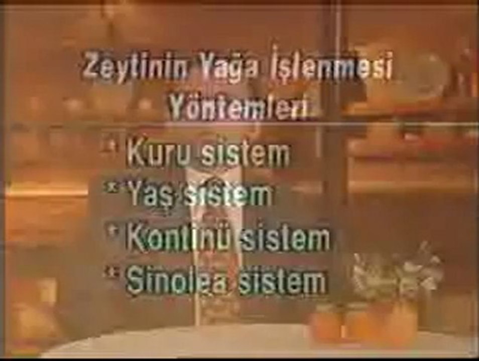 6ZÜ