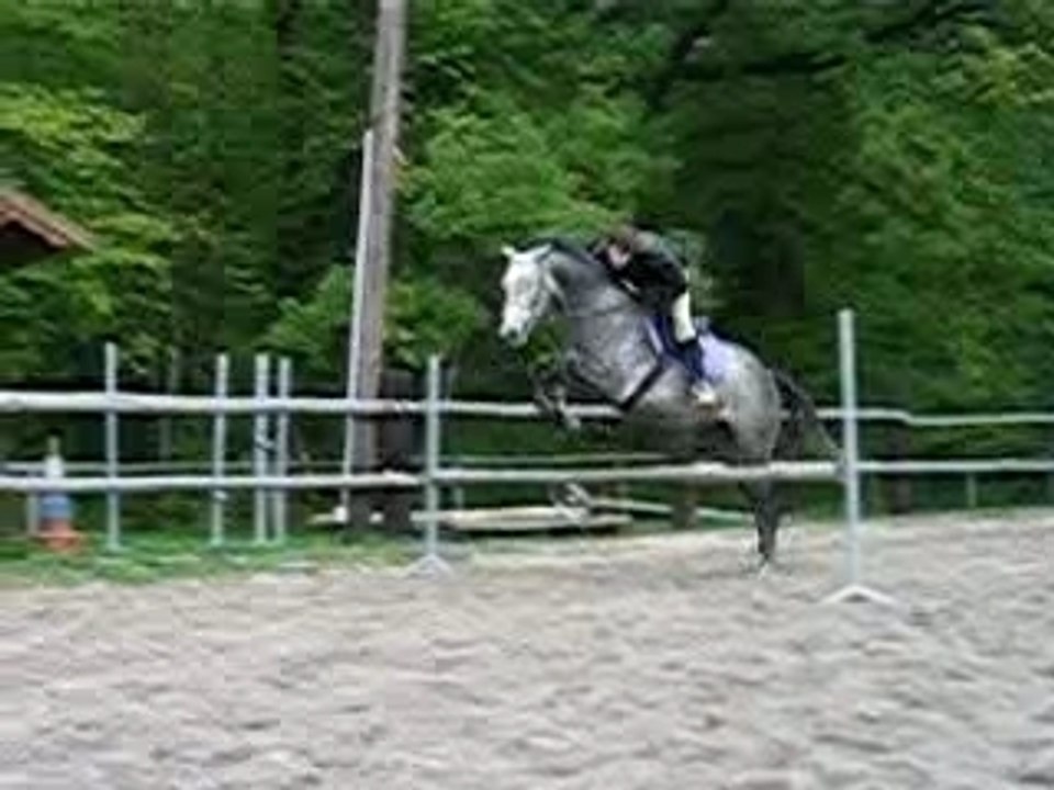 mantarez saute au trot