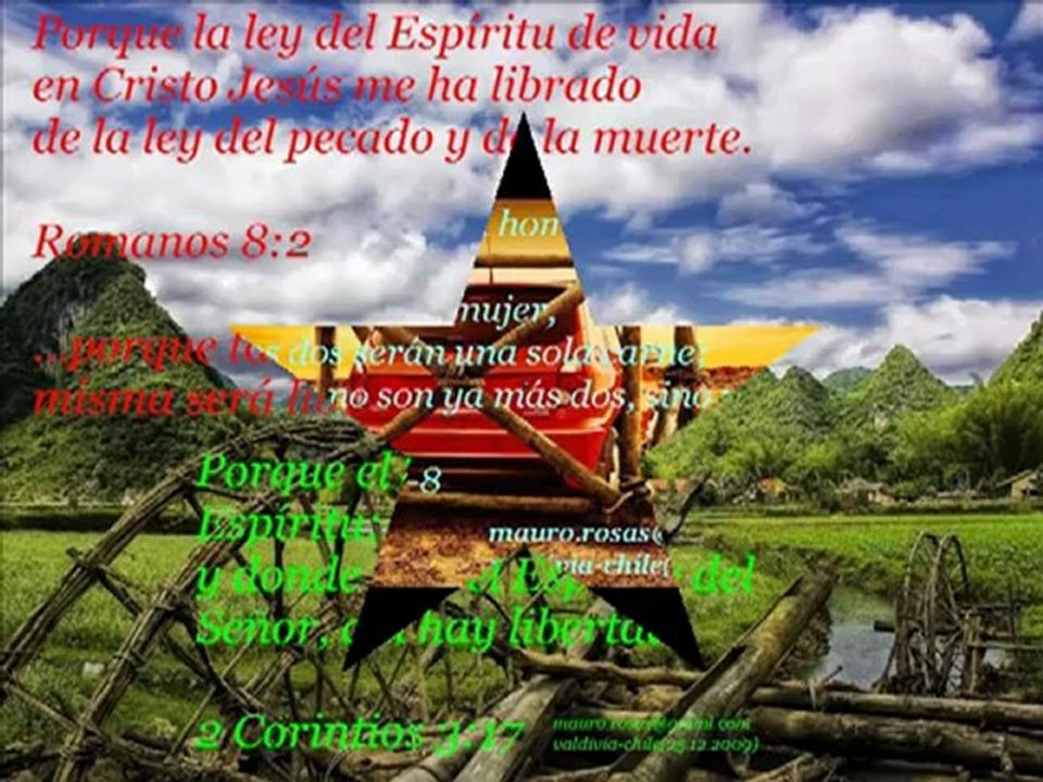 CHAYANNE( ME AMAS ASI)