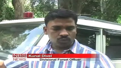 Kolkata  Elephant drowns in canal.mp4