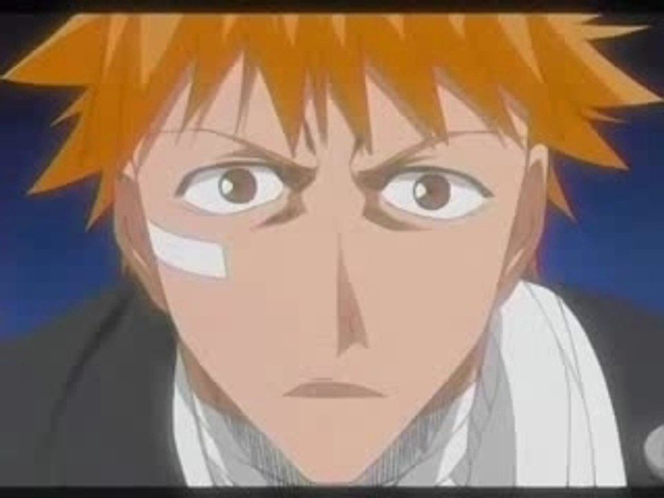 Bleach Ichigo vs Master