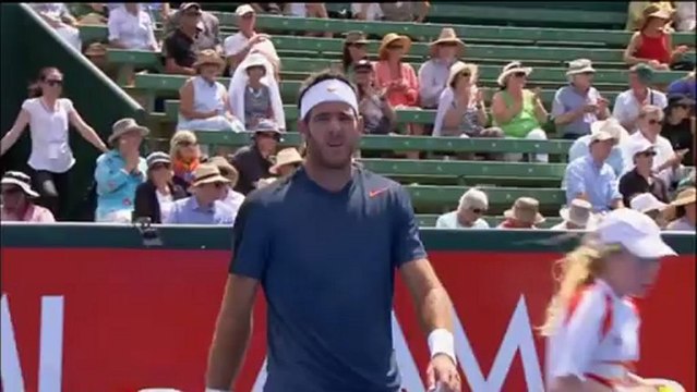 Del Potro batte Baghdatis - Melbourne, semifinale