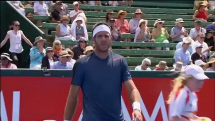 Del Potro batte Baghdatis - Melbourne, semifinale