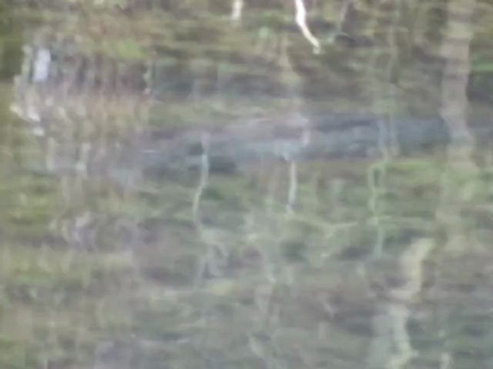 brochets en fraie le 10.03.12