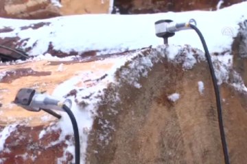 Ağaçlara ''check-up''