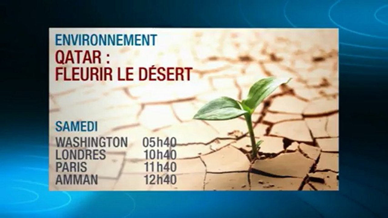 Qatar : fleurir le désert