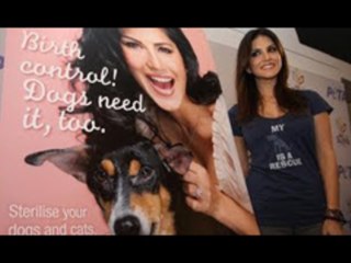 Sunny Leone Promotes PETA !