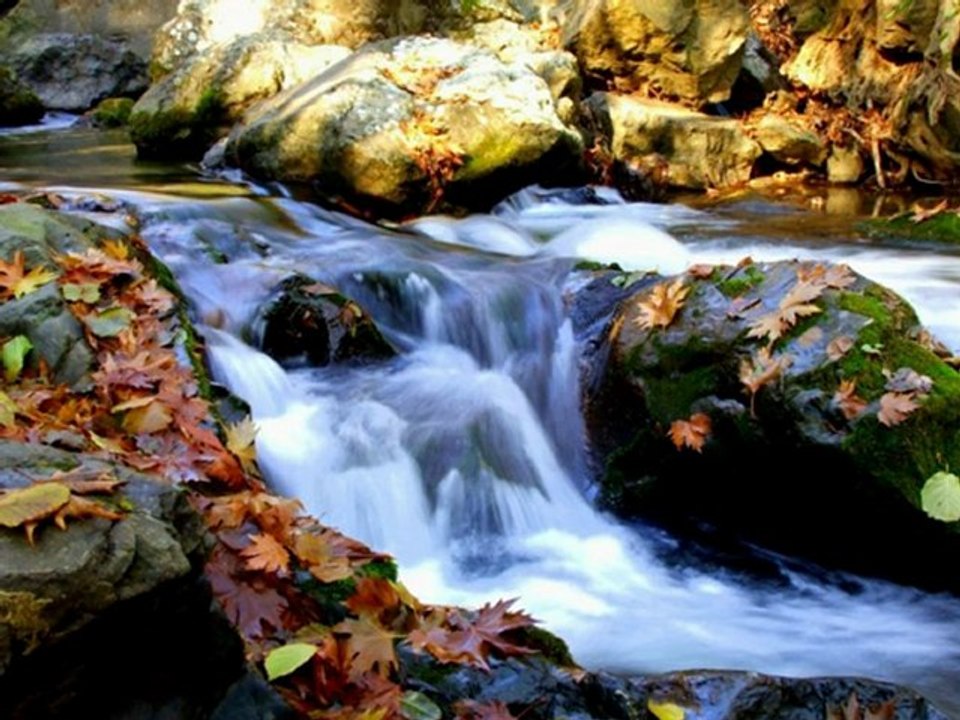 KARADENİZ YİNE YELİN SAVRULUR..