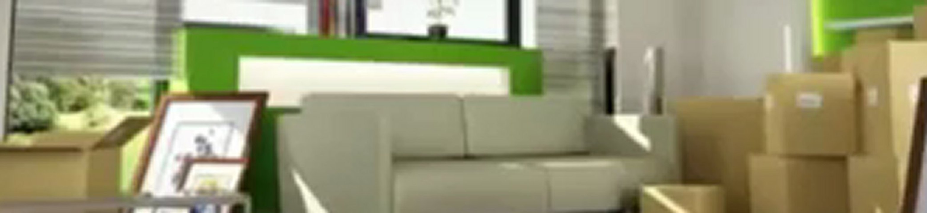 Glaser & Sons Local Mooving (864) 242-3607