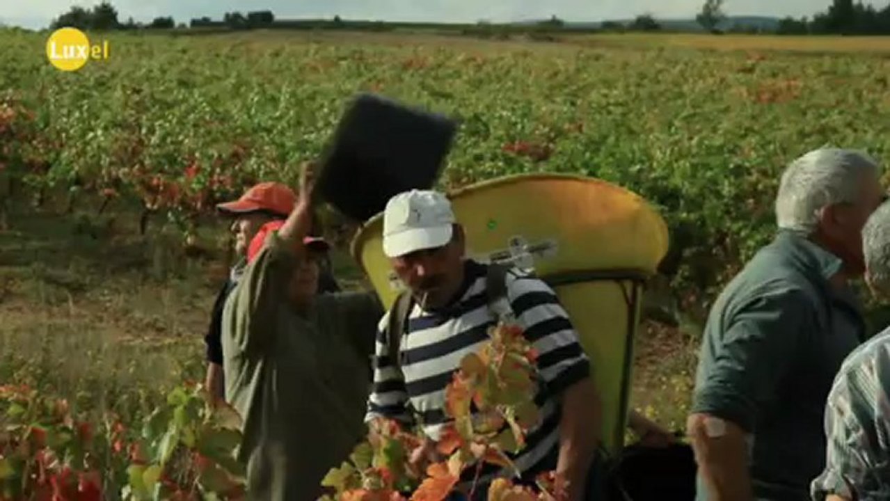 Centrale solaire, parc et performance photovoltaique