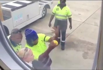 Una serpiente de 3 metros vuela tres horas en el ala de un avión de Qantas