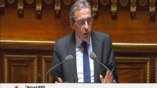 Roland Ries au Sénat - Participation de la France au budget de l'UE