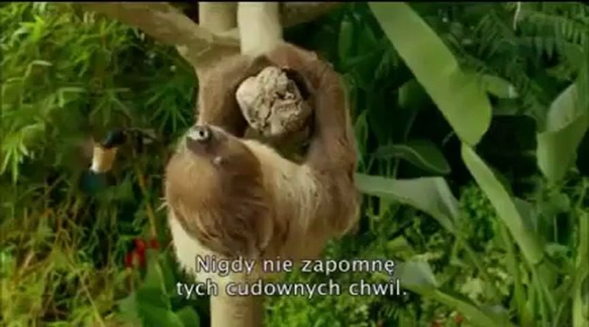 Życie Pi chomikuj cały film za darmo peb download