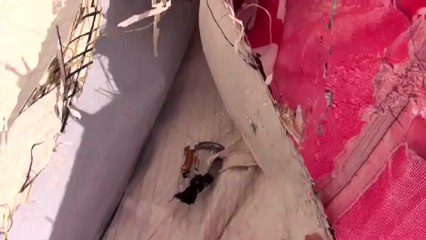 Un peu de couture sur Initiatives Coeur pour Tanguy de Lamotte