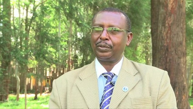 Elephant poaching on rise: Kenya Wildlife Service