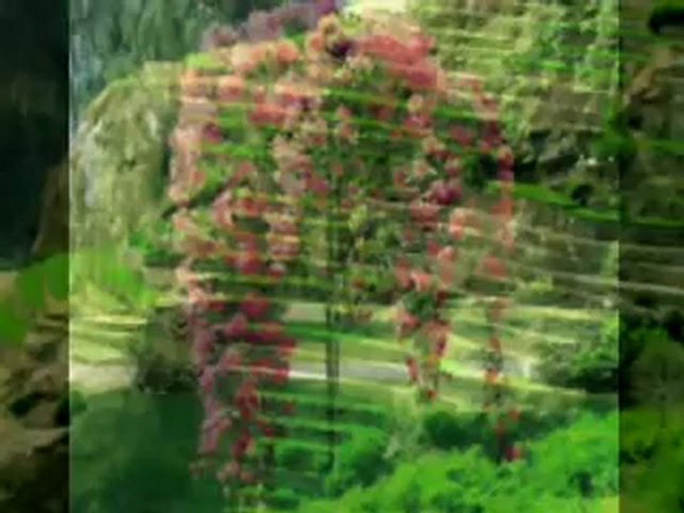 Nedim varol , Tufanbeyli, Adana, (ENGİN OL.2013 )