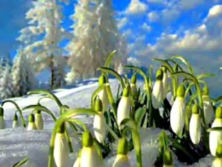 Nedim varol , Tufanbeyli, Adana, (NE DERSİN.2013 )