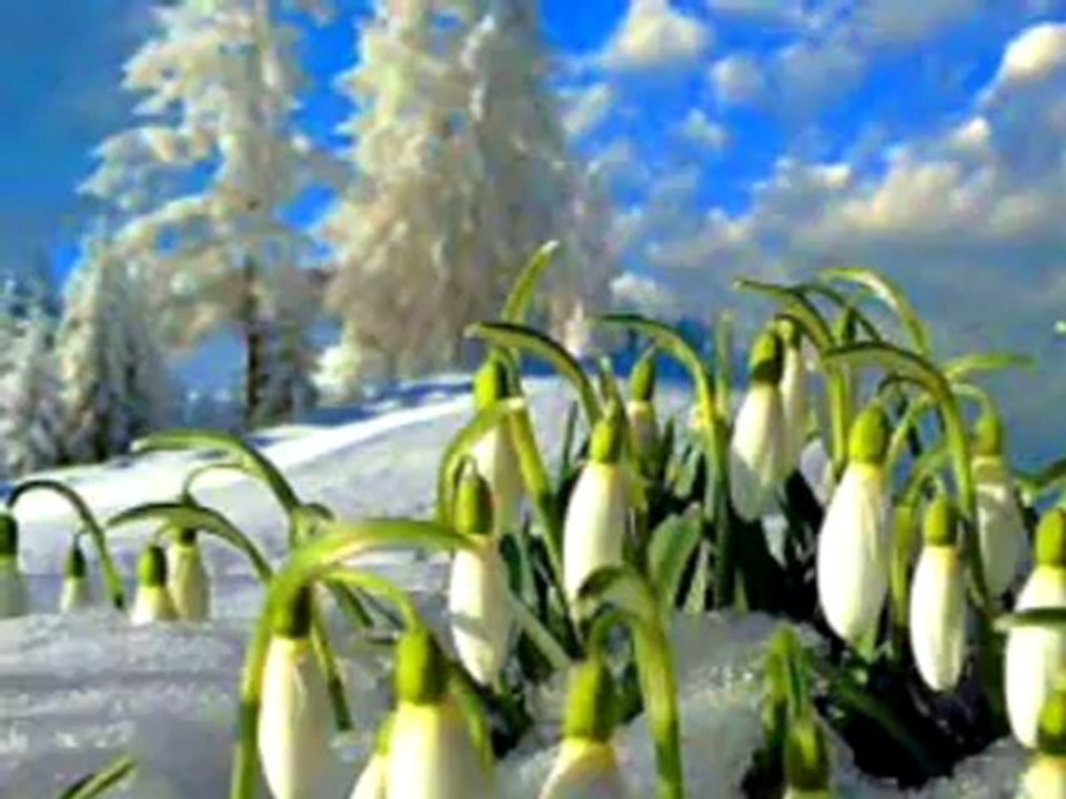 Nedim varol , Tufanbeyli, Adana, (NE DERSİN.2013 )