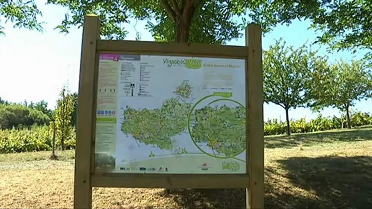 Bienvenue dans le Vignoble de Nantes !