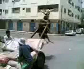 Esel im Weltall haha _D