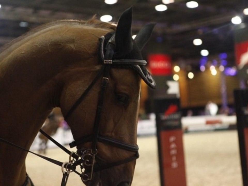 Equitation : Le Gucci masters échappe aux Français