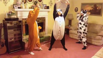 Party Animal Series - Beautiful Night (Beast) dance cover