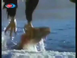 ALASKA - SOMON BALIKLARININ GÖÇÜ - BELGESEL._0 Perikizi.Net_clip0