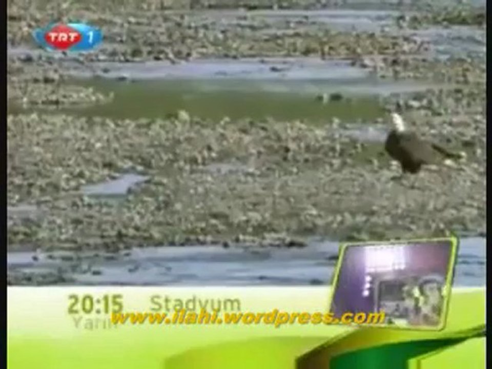 ALASKA - SOMON BALIKLARININ GÖÇÜ - BELGESEL._3 Perikizi.Net_clip1