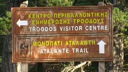 Multifunctional forest support