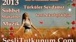 SesliTutkunum.Com Hoşgeldiniz Damar Şarkılar 2013 - Gelen Bir Taş Vurur Süper oFFFF