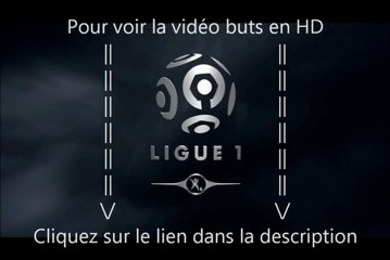 Résumé Saint-Etiennes Toulouse 2-2, vidéo but et résumé