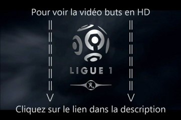 Saint-Etienne Toulouse Vidéo Buts Perrin, Mollo, Didot, Aurier 2-2