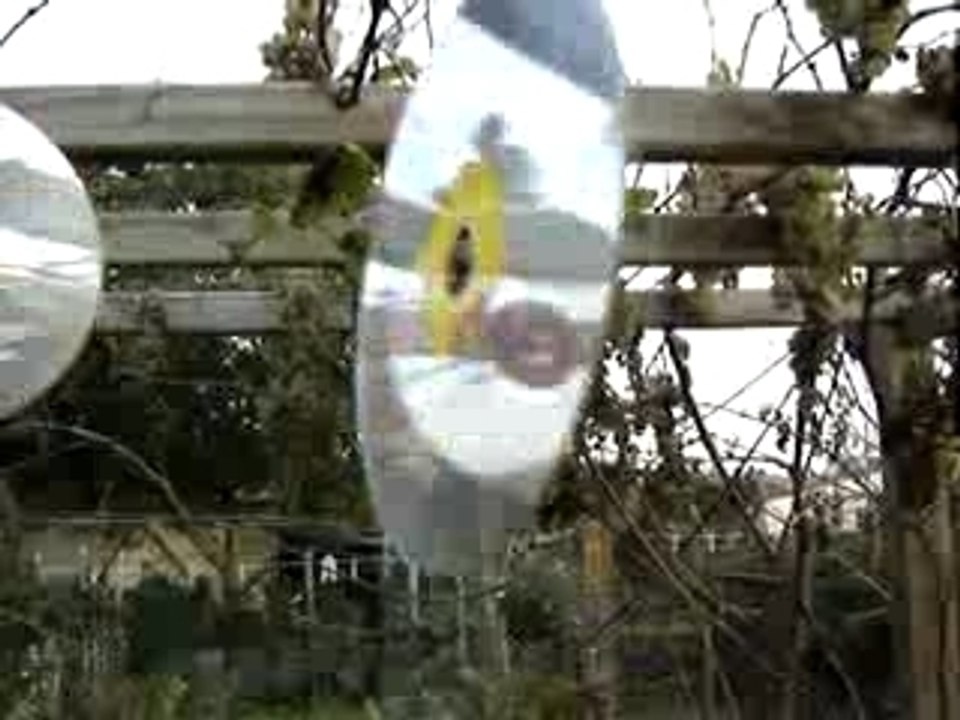 MOV01708