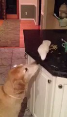 (21) Unbelieveable friendship