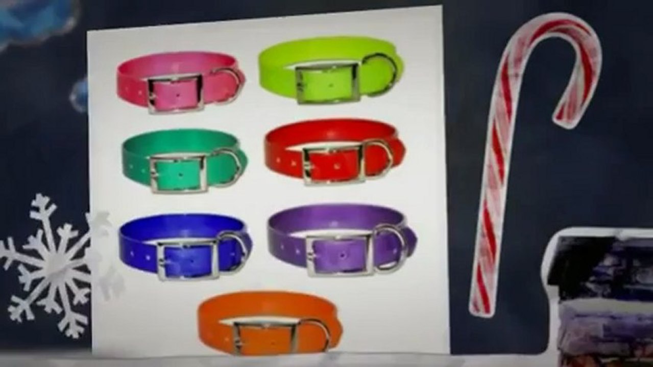 Personalized Dog Tags