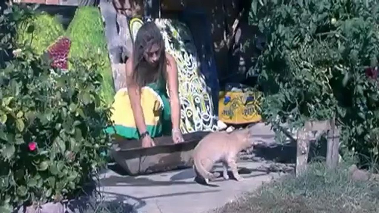 Lalush Snajperisti skeq 20