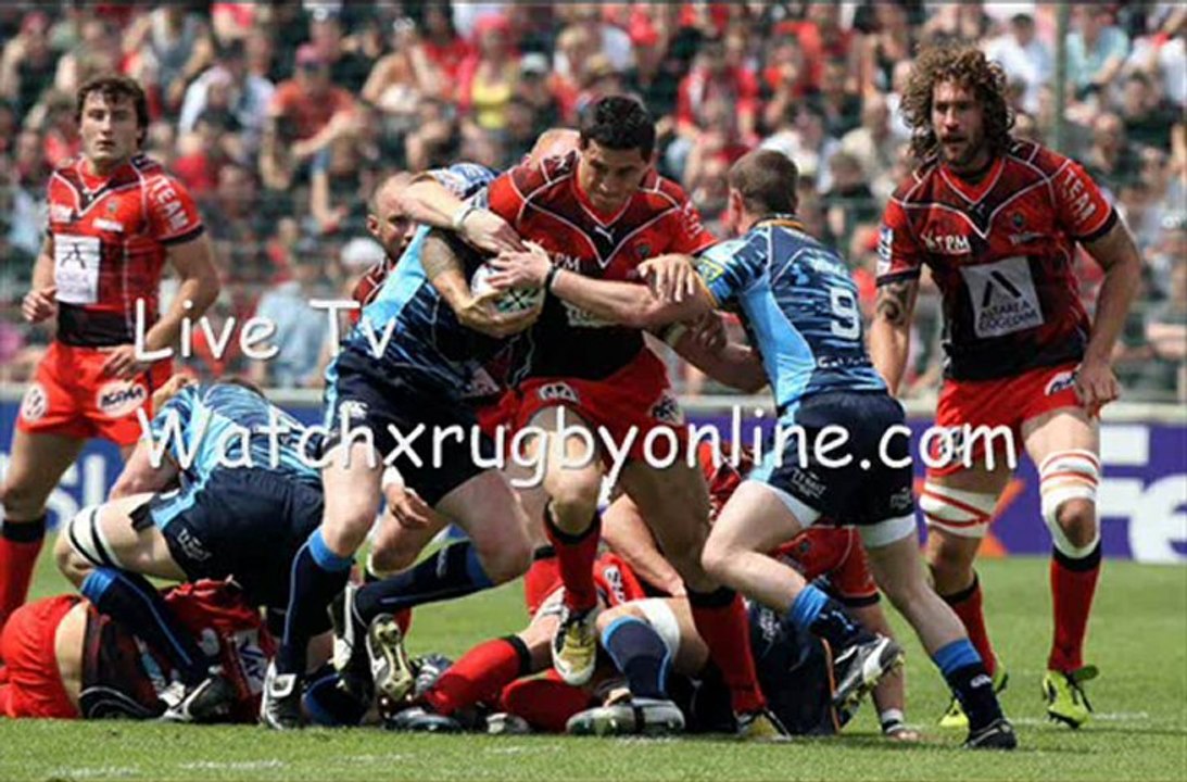 Toulon vs Cardiff Blues Fri 12 Jan Heineken Cup 2013 Live