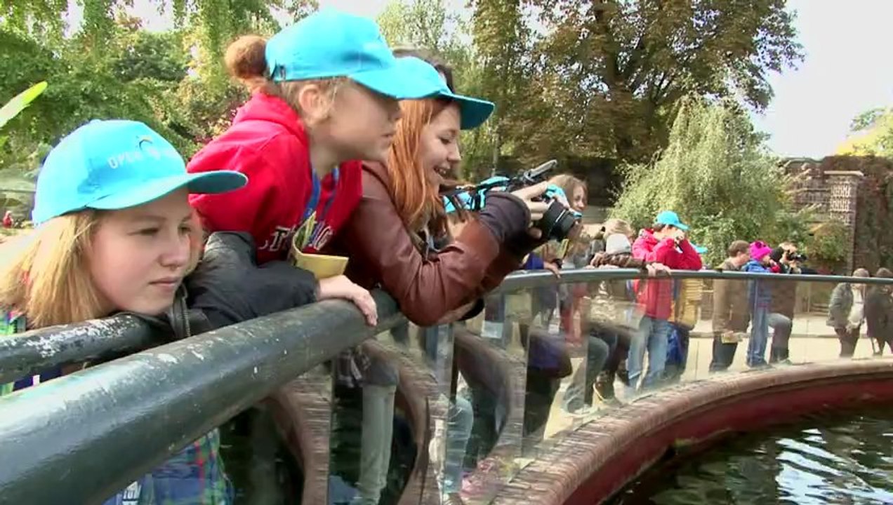 Open World in Deutschland 2012