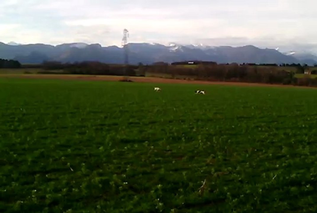 VID_20130112_100748