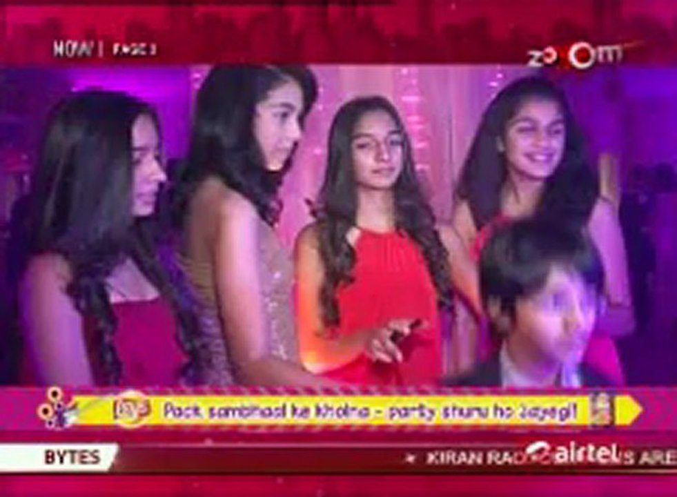 PAGE 3 12 Jan2013-pt2