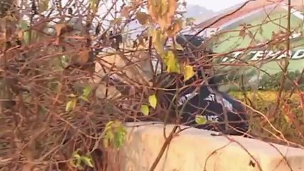 Protestos no Paquistão